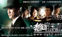 我的绝密生涯在线观看,揭秘特工风云背后的惊心动魄